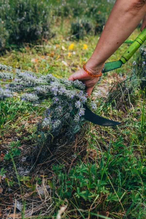B&B Al Giardino Dei Laghi Revine Lago Dış mekan fotoğraf